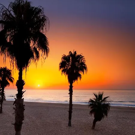 Apartamento Lighthouse Parquemar La Mata (Torrevieja)