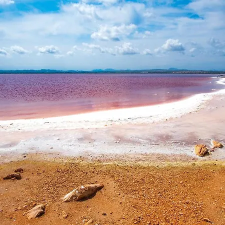 Lighthouse Parquemar