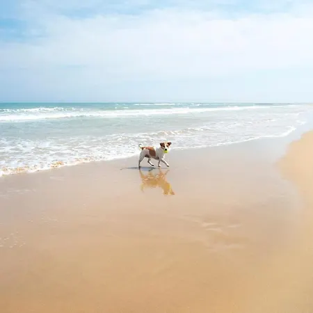 Apartamento Lighthouse Parquemar