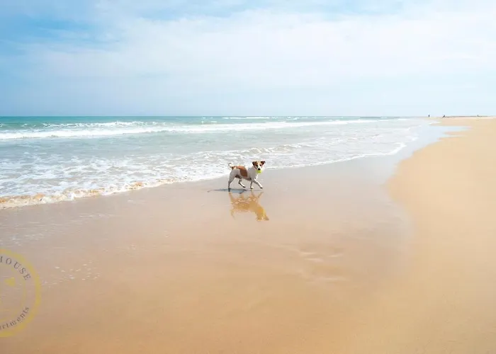 公寓 Lighthouse Parquemar